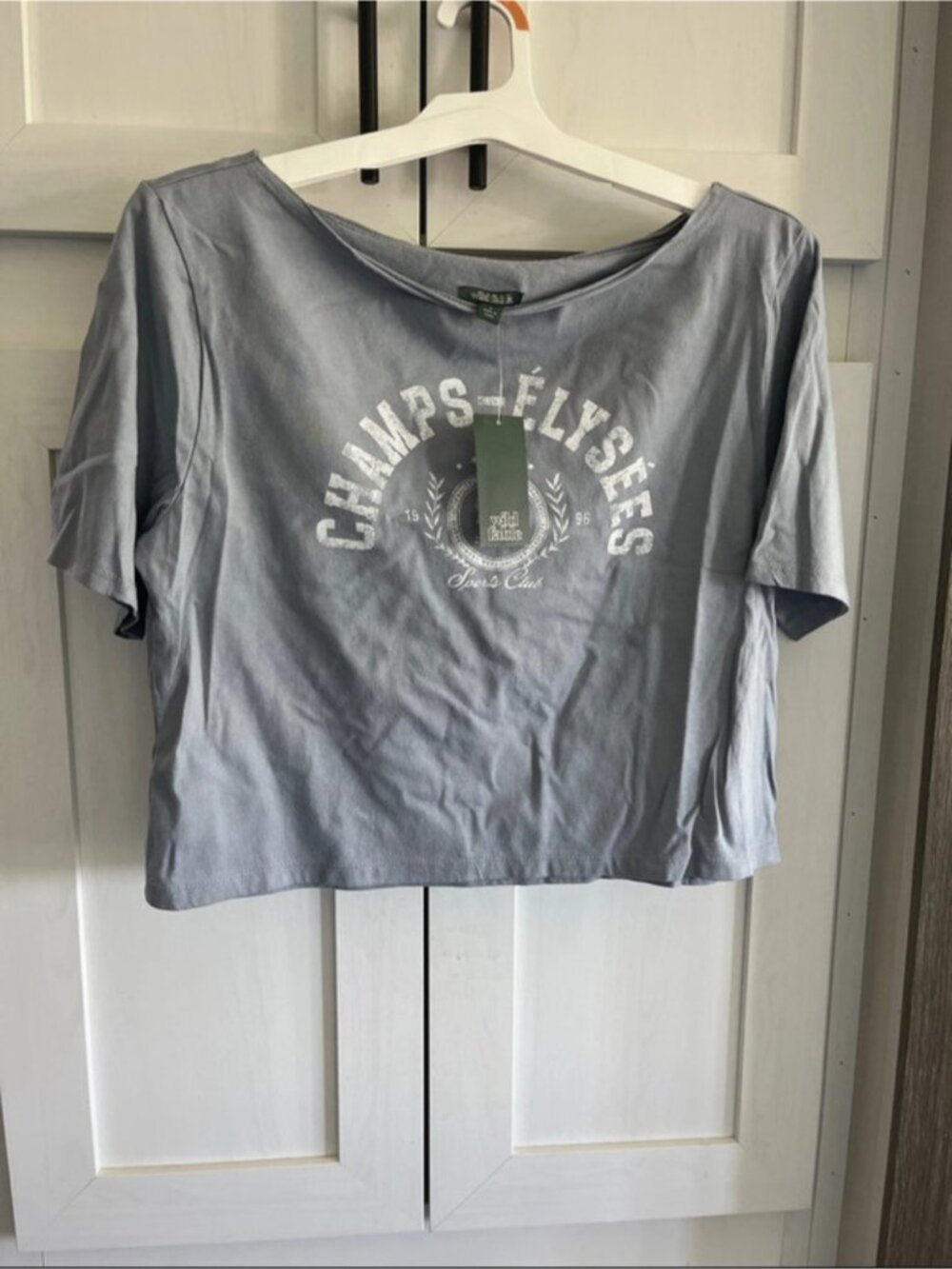 wild fable Light Blue Graphic Crop Tee